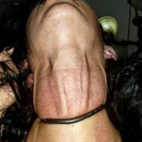 Breath Play Bear