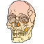 trekeyus