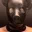 Rubberacerpig